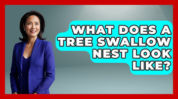 What Does A Tree Swallow Nest Look Like? - Bird Watching Diaries