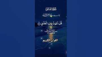 سورة الفلق #تلاوت_القرٱن #القرآن_الكريم #foryou #islamicvideo #quran #malikzaheerd3t #shortvideo