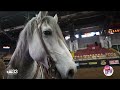 Behind the scenes look at PBR
