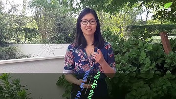 Phần 2: Hệ bạch huyết & Nơi bệnh tật khởi phát