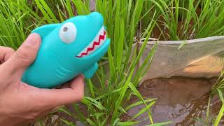 Соревнования по разбрызгиванию воды между игрушками-акулами и игрушками-свиньями Часть 203