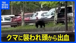 【速報】男性がクマに襲われ頭から出血　命に別状なしか　栃木・日光市の山林　2、3頭を目撃｜TBS NEWS DIG