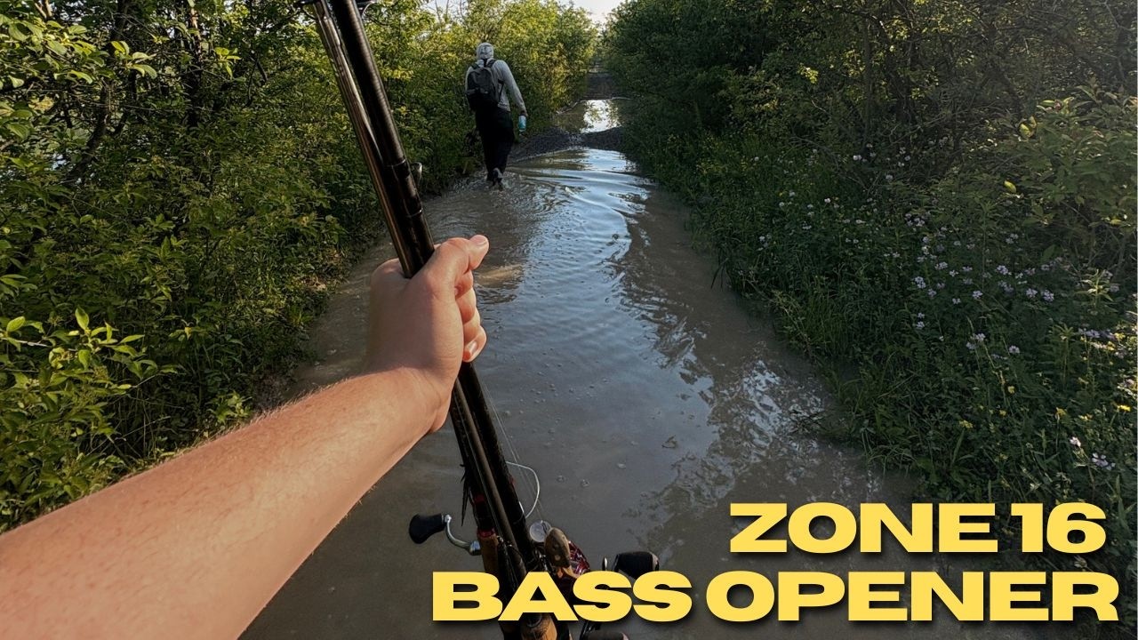 Fishing From the Bank on Bass Opener
