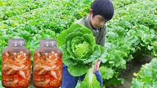 【SUB】Spicy Cabbage Made by Southerners丨rural life