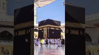 হজ্জ করতে গেলে উহুদ যাবেন। #islamicstatus #islamicvideo #viralwaz #shortsvideo #shortsfeed #story