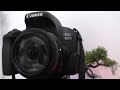 6 месяцев с Canon EOS 800d ► опыт использования