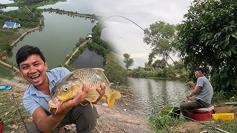 Câu Đài | Tín hiệu cá chép giòi khó chịu đến mức nào? Câu cá Chép hồ câu 101 - La Ngà, Đồng Nai