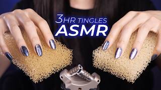 ASMR for People Who Don’t Get Tingles 3hr | Everyday Items, Mildly Fast & Intense (No Talking)