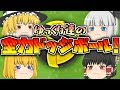 ゆっくり達の全力ドッジボール【破壊のマスタースパーク】