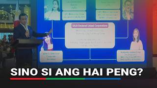 Trillanes: Kompanya ni VP Sara, gumamit umano ng 'fictitious person' sa mga dokumento | ABS-CBN News