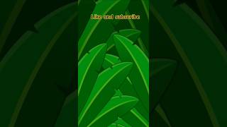 My Talking Hank Islands 38