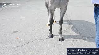 April Love vd Withoeve