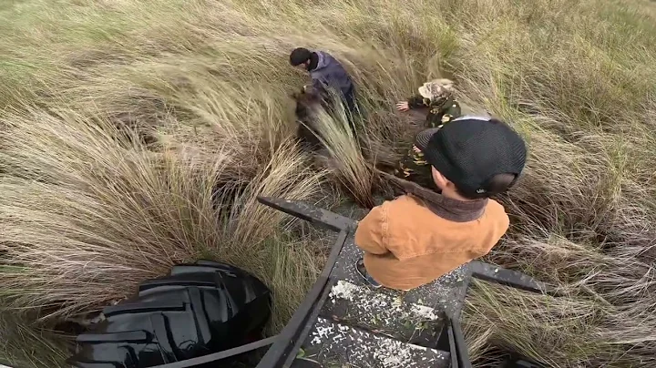 Hog Hunting With Dogs On A Swamp Buggy