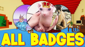 HOW TO GET ALL BADGES in RAISE A FLOPPA! (ROBLOX)
