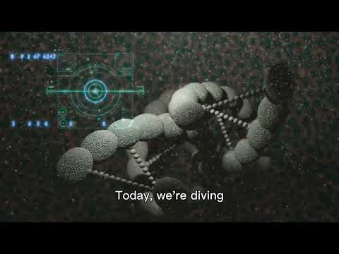 The Early Discovery And Impact Of Nanotechnology 