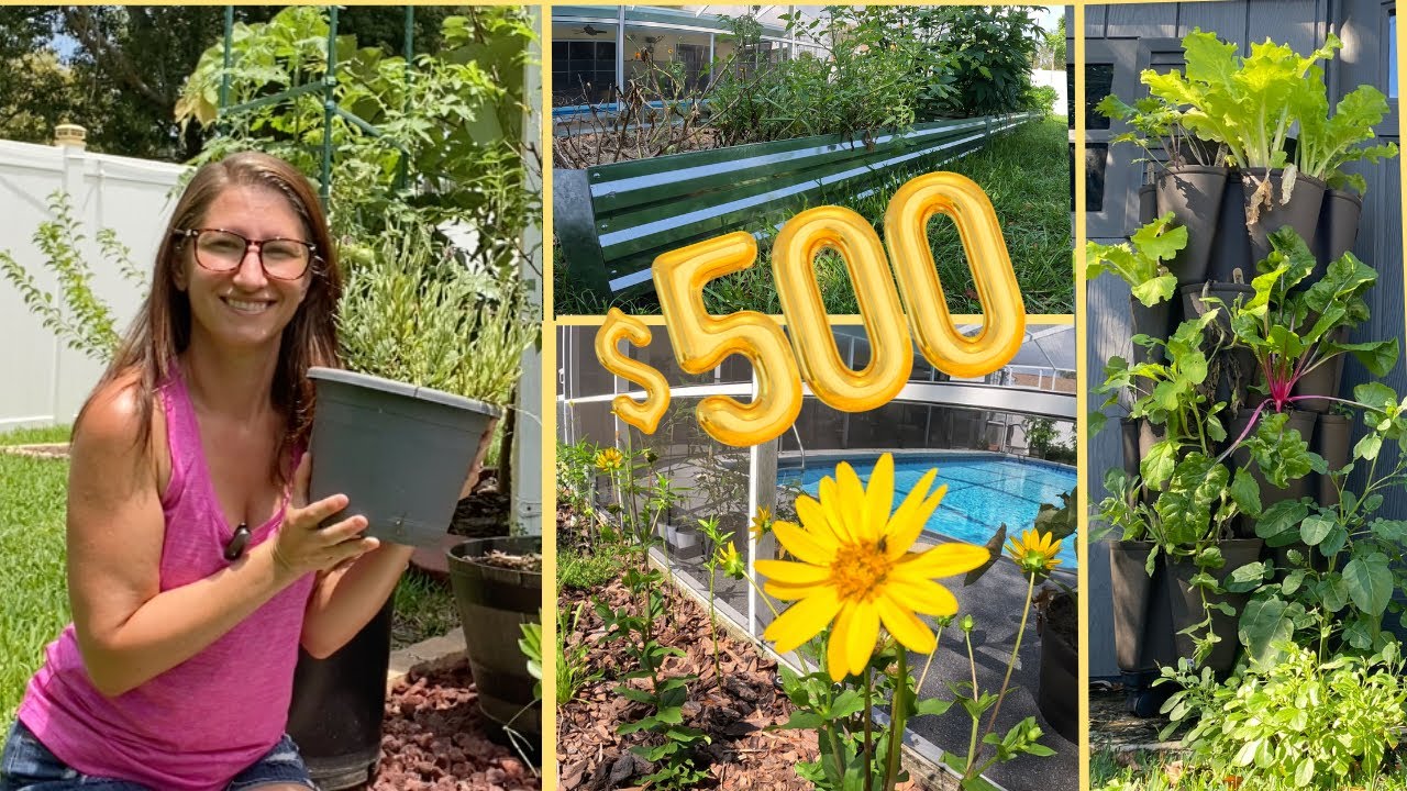 500 Garden Savings in ONE Season Exploring CostEffective Gardening