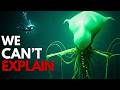 These Deep Sea Creatures Shouldn't Exist | Here's Why