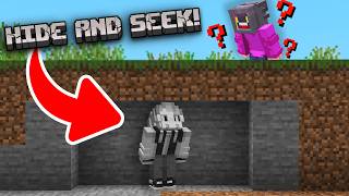 EXTREME CAMOUFLAGE HIDE AND SEEK in Minecraft!