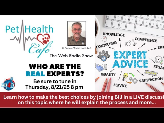 Who are the REAL experts?
