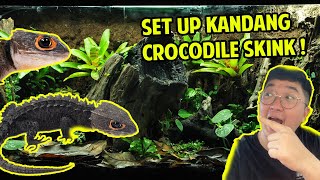 SET UP KANDANG CROCODILE SKINK ! SIMPLE TAPI MEWAH !