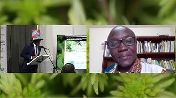 COP26 | Governance frameworks for peatland conservation in the Congo Basin