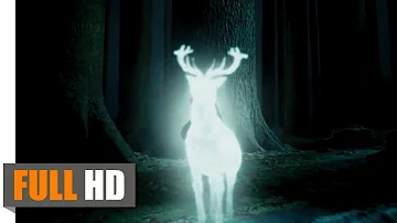 Quem tem o patrono de veado?