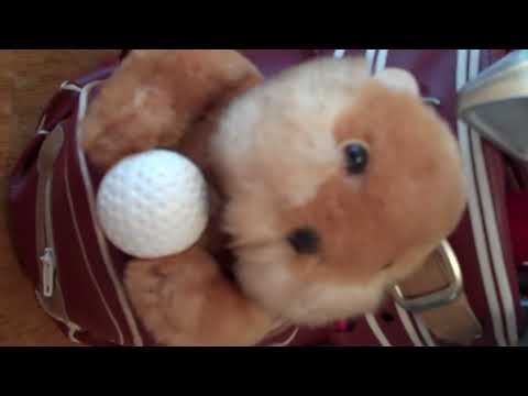 Caddyshack gopher dancing clubs
