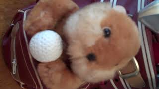 Caddyshack gopher dancing clubs