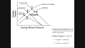 Cardiac & Vascular Function Curves EXPLAINED
