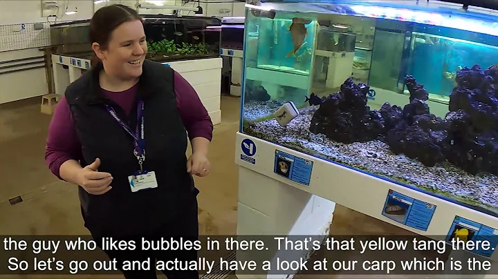 Dr Kerry Perkins, Hampshire STEM Ambassador