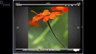 SpyderGallery - Farbkalibrierung für das iPad