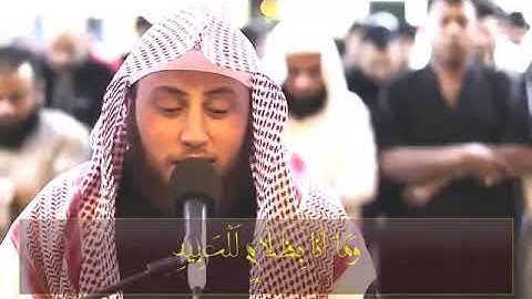 تلاوة قل نظيرها بصوت قمة في الهدوء والسكينة