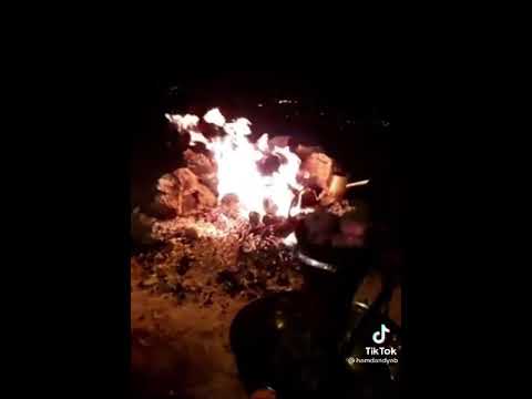 ١٦ مايو ٢٠٢١