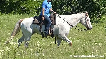 Dee Major - trail riding! - ValleyViewRanch.net