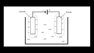 Making Your Own Heavy Water