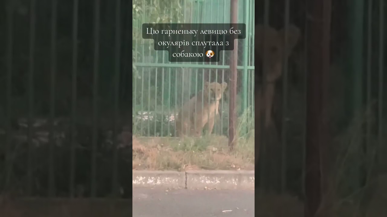 Наш тгк ArtRix1013