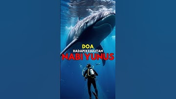 Doa Nabi Yunus Hadapi Kesulitan, Begini Cara Mengamalkannya❗️#nabiyunus #ikanpaus #doa #shorts