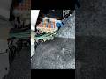 2017 Suzuki Ignis front and rear dashcam install #car #cars #fun #suzuki #ignis