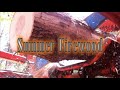 Late July Firewood Processing | Blockbuster 22-20 Firewood Processor