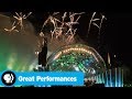 Vienna Philharmonic Summer Night Concert