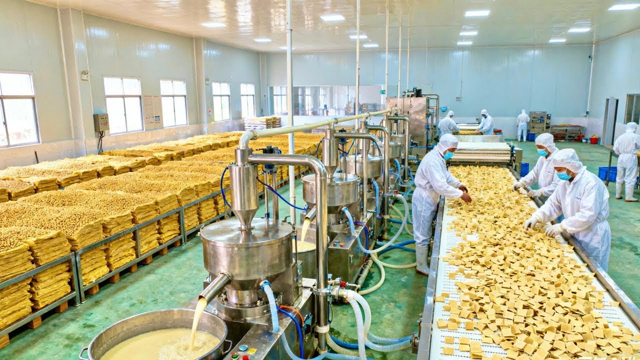 Satisfying Dried Tofu Production: From Soybean to Snack | ASMR Factory Process