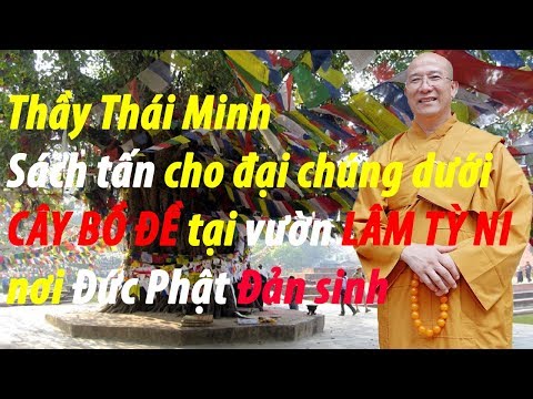 Video Thầy Thái Minh Ngồi dưới CÂY BỒ ĐỀ tại vườn LÂM TỲ NI... - youtube