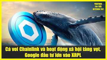 Cá voi Chainlink và hoạt động xã hội tăng vọt, Google đầu tư lớn vào XRPL