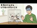 【文鳥のてんかん】発作時に絶対「してはいけない」こと（EP.195）