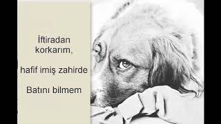 Ali Genç-Köpek, neden çalar ayakkabıyı?