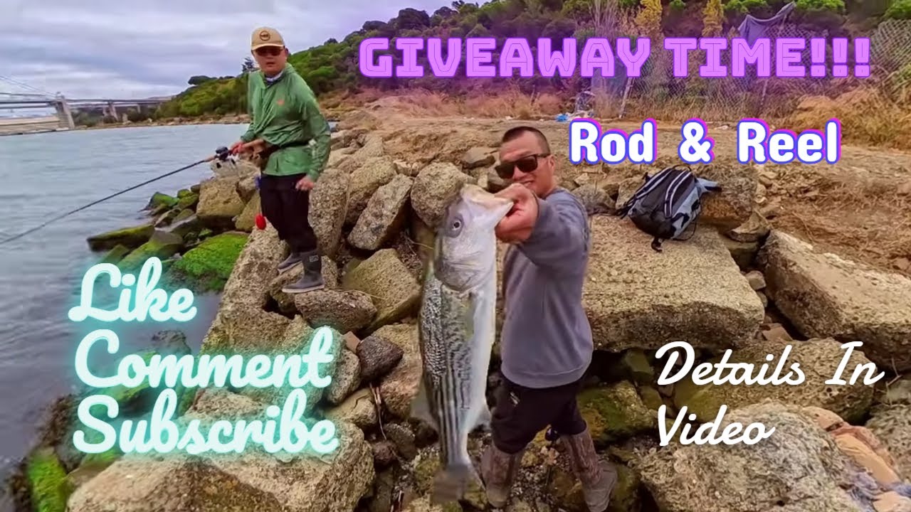 Epic Bay Area Striper Fishing | The Fall Run Is Here