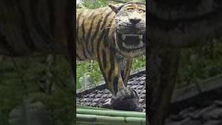 Hawimau Malaya Versi Patung Macan Ngantuk harimaumalaya harimau meme