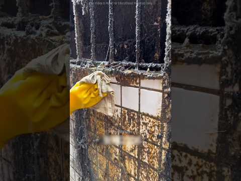 Cleaning Old House