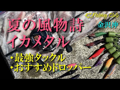 イカメタル　エギング　ケンサキイカ 浮きスッテ 夜光 蓄光 エギ エギング 布巻 2色 セット ダブル