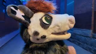 Everybody Laughs @ Anthrocon 2026